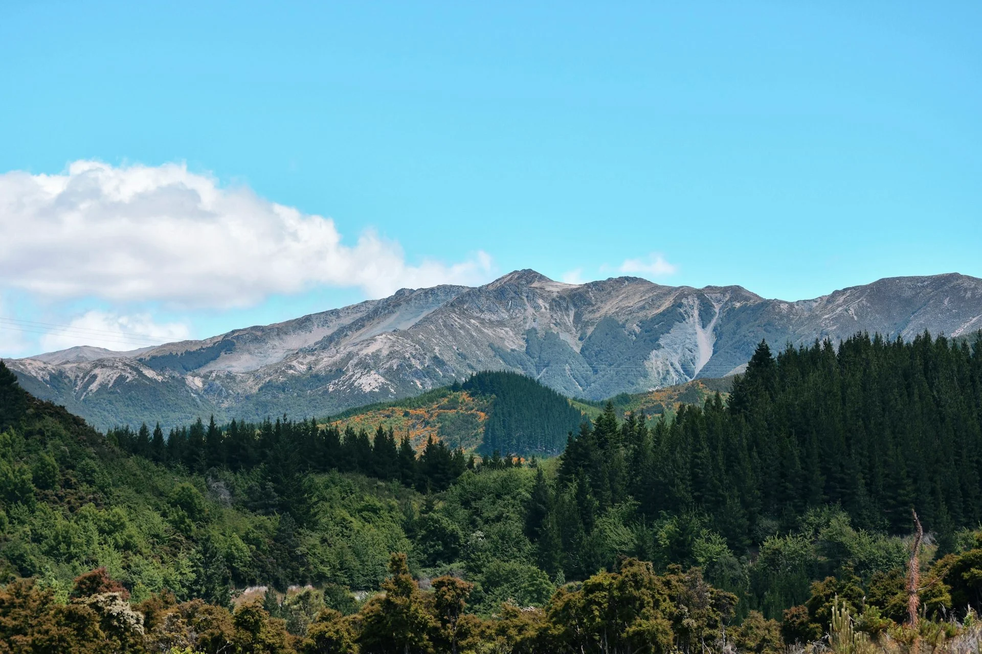 A couple at their wedding ceremony in Hanmer Springs, surrounded by mountain forest with snow-capped peaks in the background